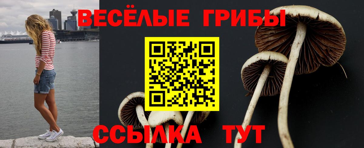 Псилоцибиновые грибы GOLDEN TEACHER Ярцево